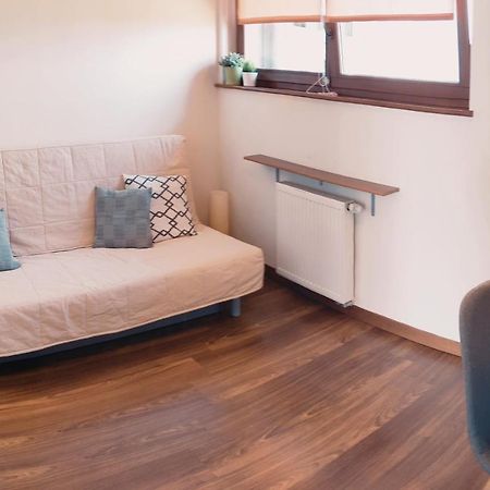 Apartament Beskidzki Relax Ustroń Zewnętrze zdjęcie